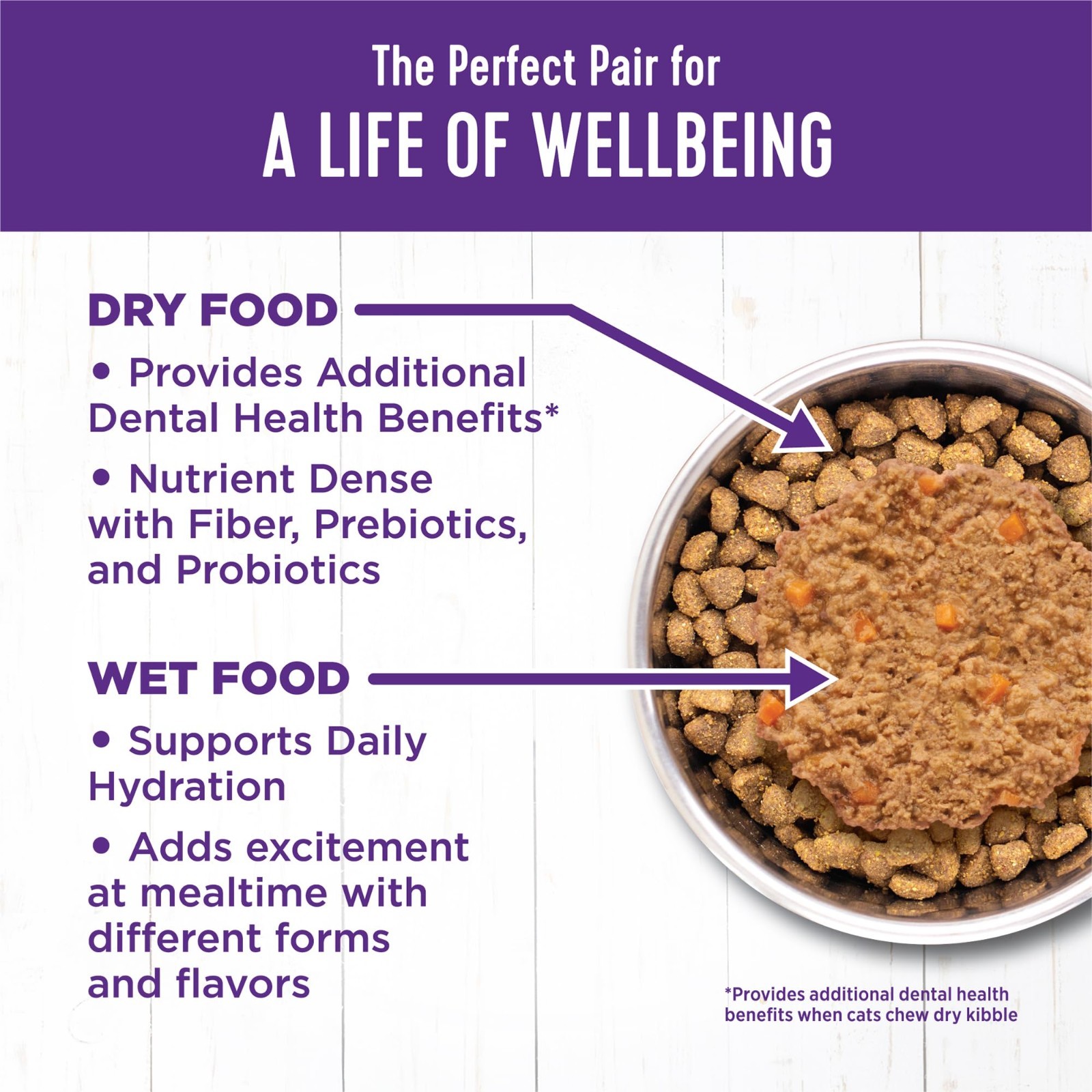 Wellness Complete Health Pate Kitten Wet Cat Food, Chicken, 3 oz – 48 ct
