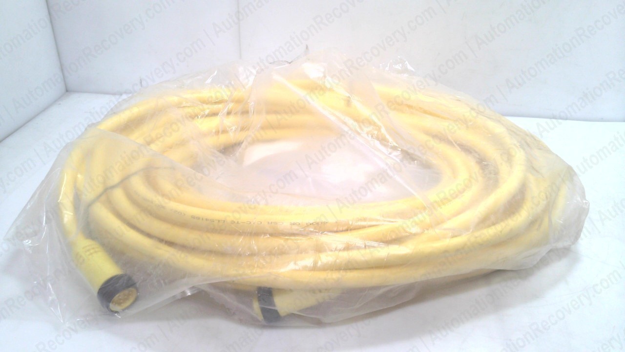 BRAD POWER 331030K13M250,DOUBLE ENDED CORDSET, 1300120582, NEW #352105