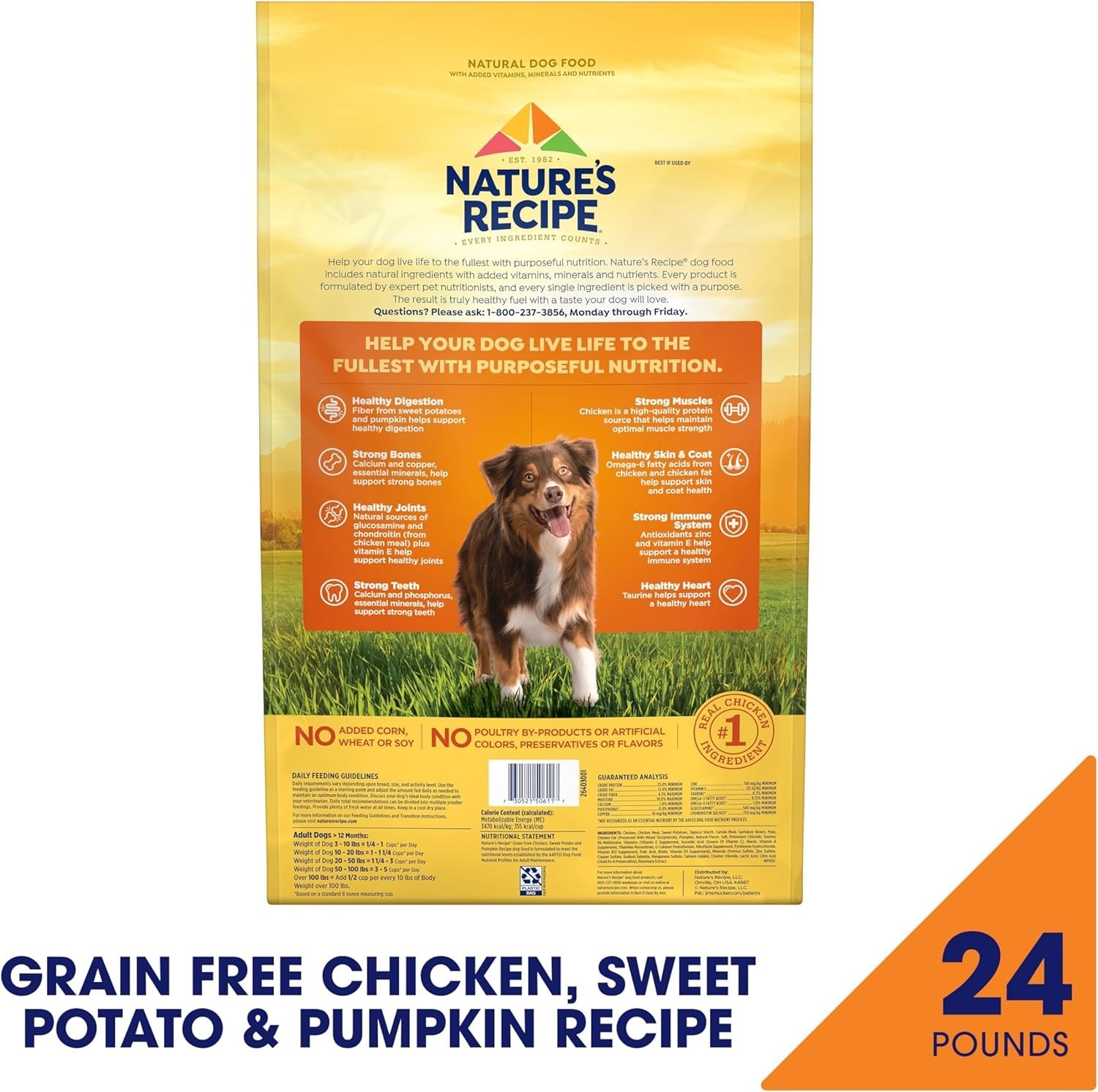 Nature’s Recipe Adult Dry Dog Food – Chicken, Sweet Potato, Pumpkin, 24 Lb Bag