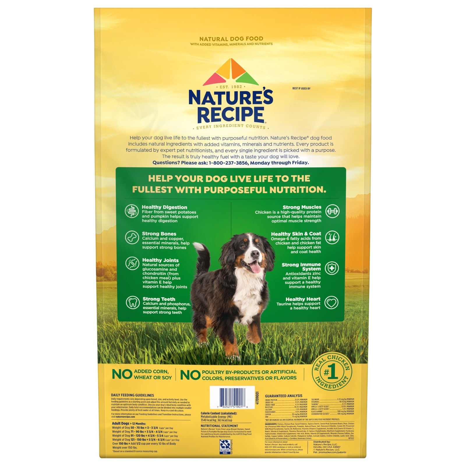 Nature’s Recipe Grain Free Large Breed Chicken,Sweet Potato& Pumpkin Recipe,24lb