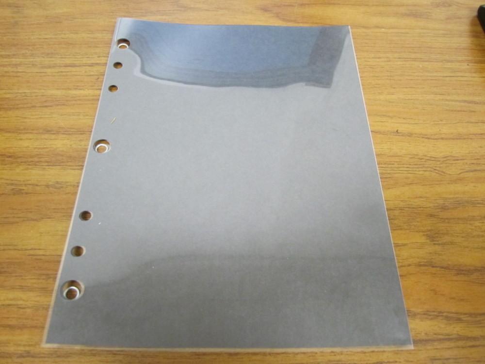 Amberg 51780 Sheet Protectors (Pack of 25)